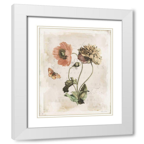 Antiquarian Blooms IV White Modern Wood Framed Art Print with Double Matting by Pertiet, Katie
