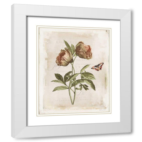 Antiquarian Blooms VI White Modern Wood Framed Art Print with Double Matting by Pertiet, Katie