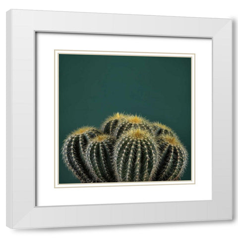 Cacti I White Modern Wood Framed Art Print with Double Matting by Eichman, Andre