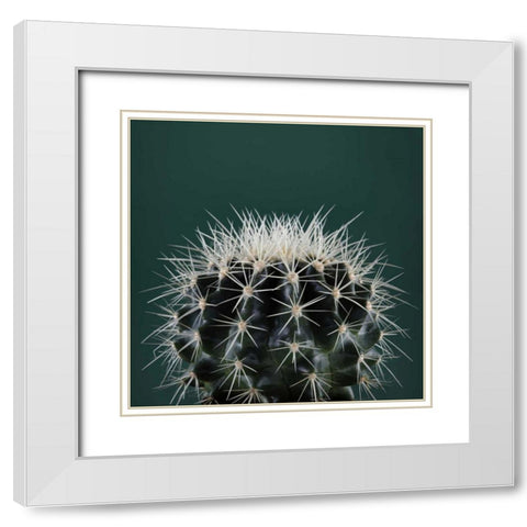 Cacti II White Modern Wood Framed Art Print with Double Matting by Eichman, Andre