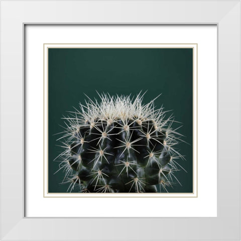 Cacti II White Modern Wood Framed Art Print with Double Matting by Eichman, Andre