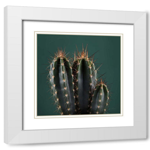 Cacti III White Modern Wood Framed Art Print with Double Matting by Eichman, Andre