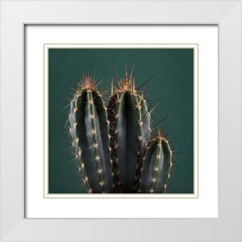 Cacti III White Modern Wood Framed Art Print with Double Matting by Eichman, Andre