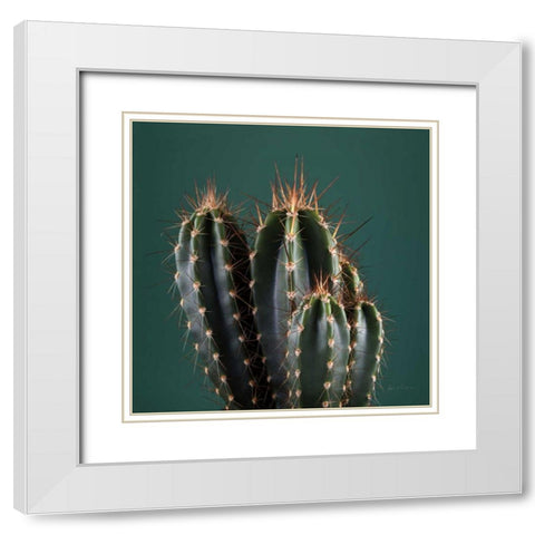Cacti IV White Modern Wood Framed Art Print with Double Matting by Eichman, Andre