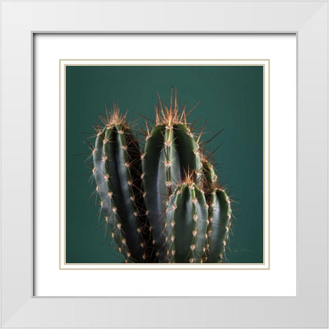 Cacti IV White Modern Wood Framed Art Print with Double Matting by Eichman, Andre