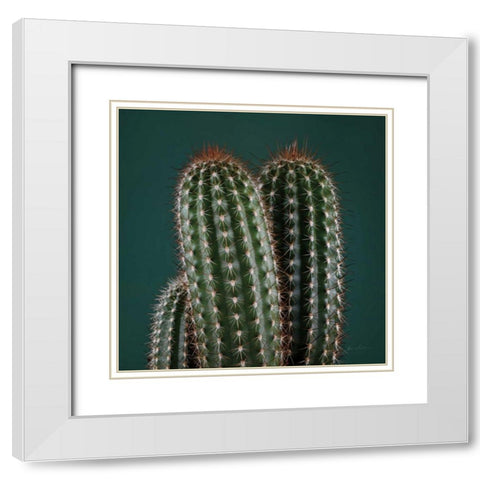 Cacti V White Modern Wood Framed Art Print with Double Matting by Eichman, Andre