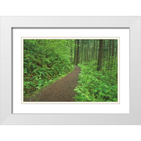 Hiking Trail in Columbia River Gorge I White Modern Wood Framed Art Print with Double Matting by Majchrowicz, Alan