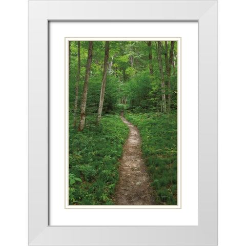 North Country Trail White Modern Wood Framed Art Print with Double Matting by Majchrowicz, Alan