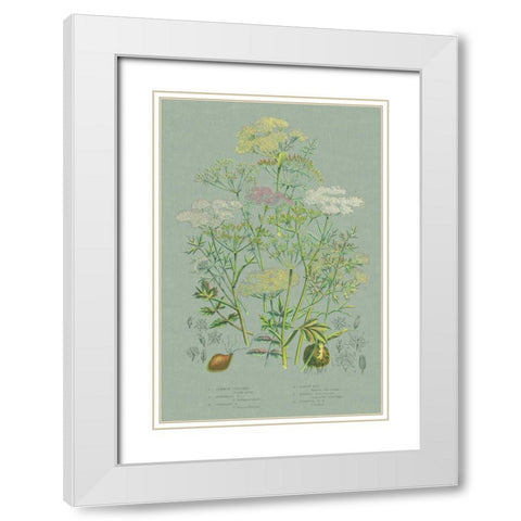 Flowering Plants II Green Linen White Modern Wood Framed Art Print with Double Matting by Wild Apple Portfolio