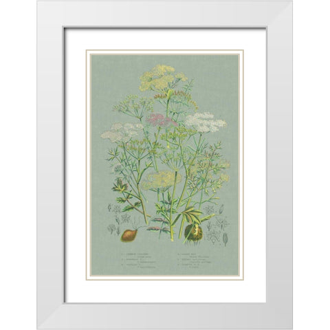 Flowering Plants II Green Linen White Modern Wood Framed Art Print with Double Matting by Wild Apple Portfolio