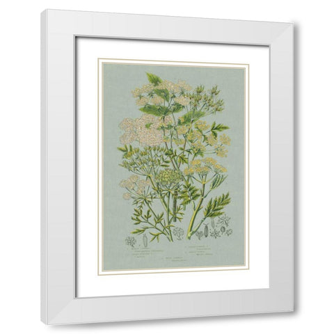 Flowering Plants III Green Linen White Modern Wood Framed Art Print with Double Matting by Wild Apple Portfolio