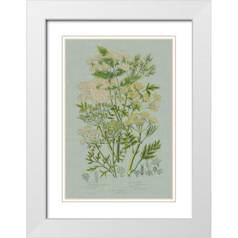 Flowering Plants III Green Linen White Modern Wood Framed Art Print with Double Matting by Wild Apple Portfolio