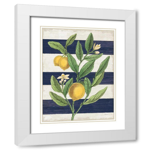 Classic Citrus V Navy Shiplap NW White Modern Wood Framed Art Print with Double Matting by Schlabach, Sue