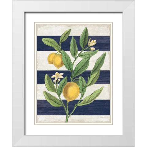 Classic Citrus V Navy Shiplap NW White Modern Wood Framed Art Print with Double Matting by Schlabach, Sue