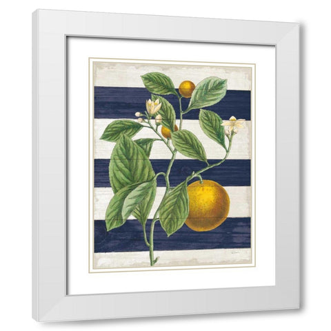 Classic Citrus VI Navy Shiplap NW White Modern Wood Framed Art Print with Double Matting by Schlabach, Sue
