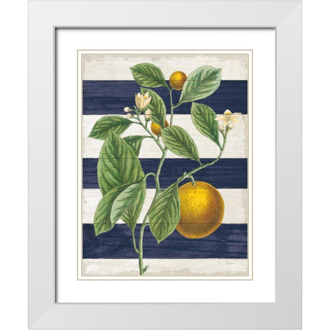 Classic Citrus VI Navy Shiplap NW White Modern Wood Framed Art Print with Double Matting by Schlabach, Sue