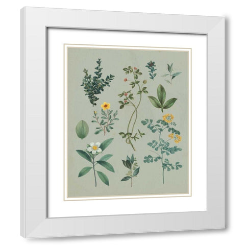 Victorian Garden V White Modern Wood Framed Art Print with Double Matting by Wild Apple Portfolio