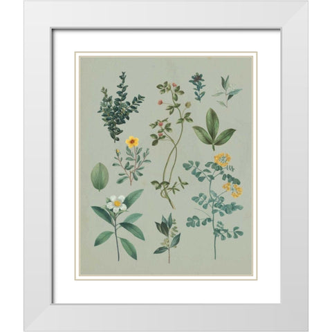 Victorian Garden V White Modern Wood Framed Art Print with Double Matting by Wild Apple Portfolio