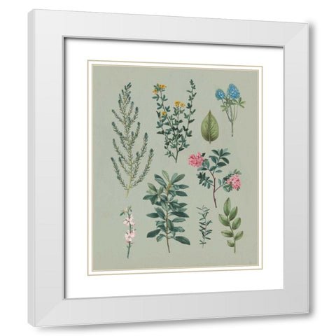 Victorian Garden VI White Modern Wood Framed Art Print with Double Matting by Wild Apple Portfolio