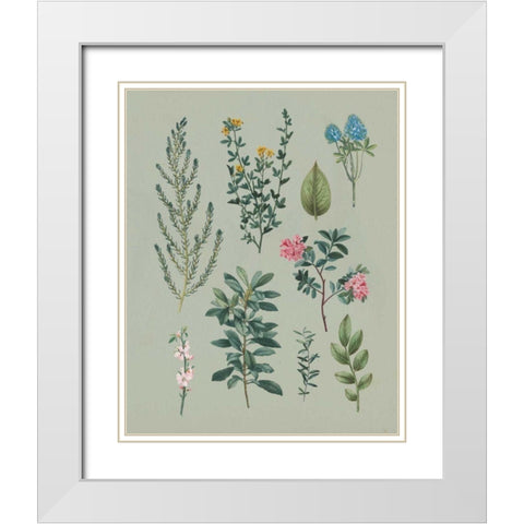 Victorian Garden VI White Modern Wood Framed Art Print with Double Matting by Wild Apple Portfolio