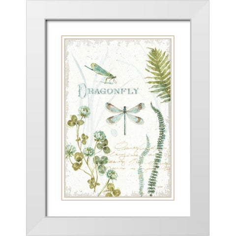 My Greenhouse Botanical Dragonfly White Modern Wood Framed Art Print with Double Matting by Audit, Lisa