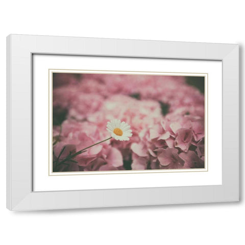 Daisy Dreams White Modern Wood Framed Art Print with Double Matting by Aledanda