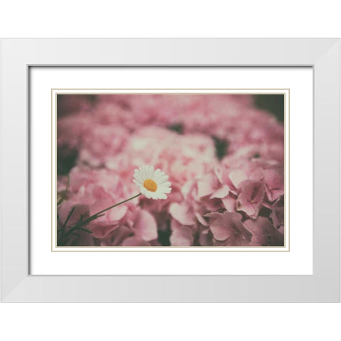 Daisy Dreams White Modern Wood Framed Art Print with Double Matting by Aledanda