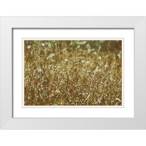 Dew on Grasses White Modern Wood Framed Art Print with Double Matting by Aledanda