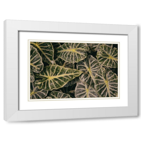 Greenery Abounds White Modern Wood Framed Art Print with Double Matting by Aledanda