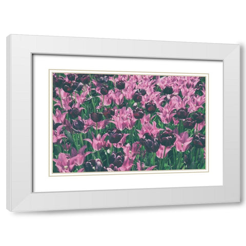 Tulip Botanical White Modern Wood Framed Art Print with Double Matting by Aledanda
