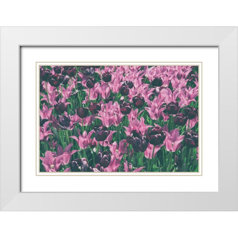 Tulip Botanical White Modern Wood Framed Art Print with Double Matting by Aledanda