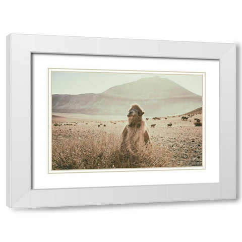 Desert Camel White Modern Wood Framed Art Print with Double Matting by Aledanda