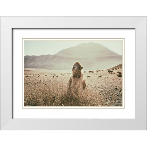 Desert Camel White Modern Wood Framed Art Print with Double Matting by Aledanda