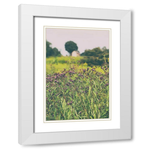 Roadside Flowers White Modern Wood Framed Art Print with Double Matting by Aledanda