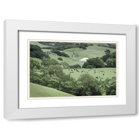 Marin California Ranch White Modern Wood Framed Art Print with Double Matting by Majchrowicz, Alan