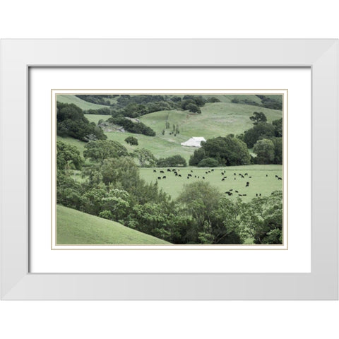 Marin California Ranch White Modern Wood Framed Art Print with Double Matting by Majchrowicz, Alan
