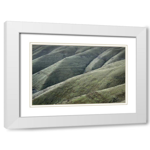 Columbia Plateau Oregon White Modern Wood Framed Art Print with Double Matting by Majchrowicz, Alan