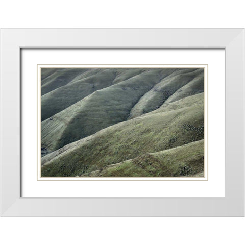 Columbia Plateau Oregon White Modern Wood Framed Art Print with Double Matting by Majchrowicz, Alan