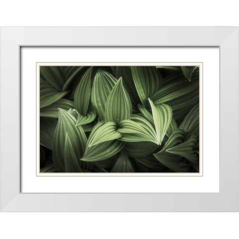 Corn Lily I White Modern Wood Framed Art Print with Double Matting by Majchrowicz, Alan