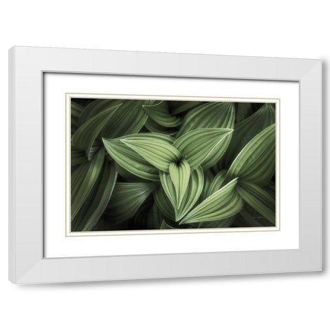 Corn Lily II White Modern Wood Framed Art Print with Double Matting by Majchrowicz, Alan