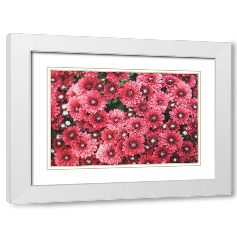 Autumn Flowers I White Modern Wood Framed Art Print with Double Matting by Marshall, Laura