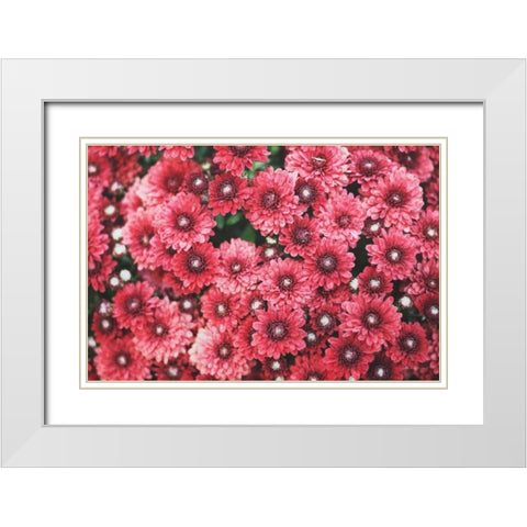 Autumn Flowers I White Modern Wood Framed Art Print with Double Matting by Marshall, Laura