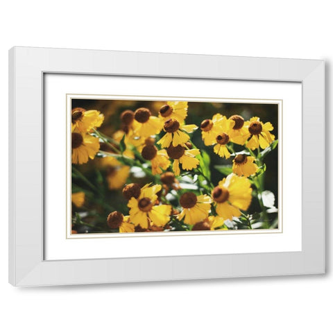 Autumn Flowers II White Modern Wood Framed Art Print with Double Matting by Marshall, Laura