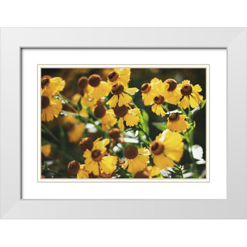 Autumn Flowers II White Modern Wood Framed Art Print with Double Matting by Marshall, Laura