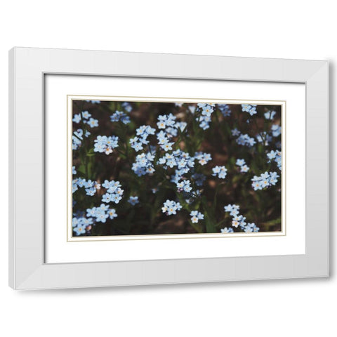 Forget Me Nots I White Modern Wood Framed Art Print with Double Matting by Marshall, Laura
