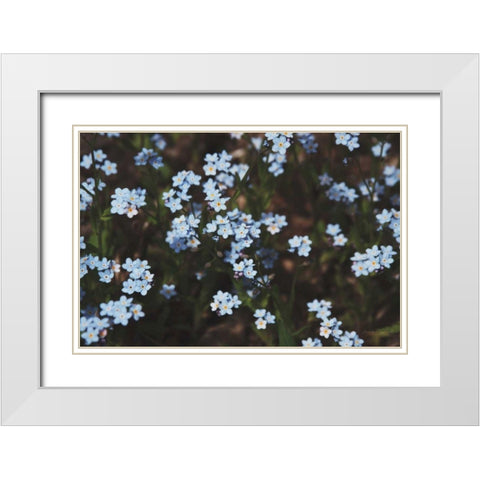 Forget Me Nots I White Modern Wood Framed Art Print with Double Matting by Marshall, Laura
