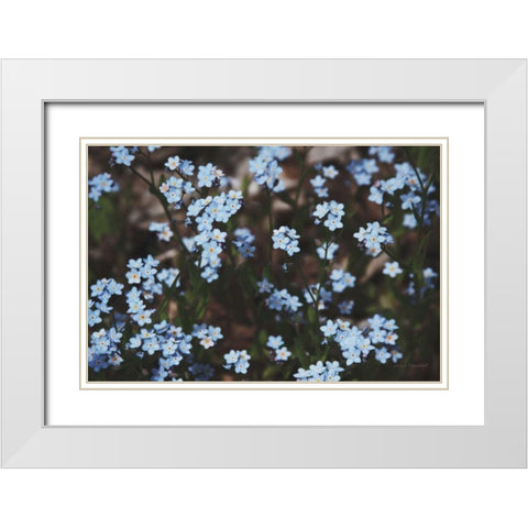 Forget Me Nots II White Modern Wood Framed Art Print with Double Matting by Marshall, Laura