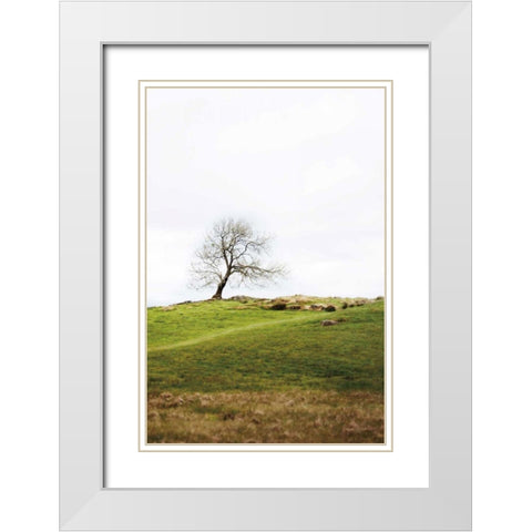 Dales Way II White Modern Wood Framed Art Print with Double Matting by Marshall, Laura