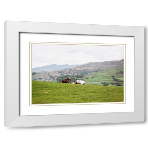 Lake District III White Modern Wood Framed Art Print with Double Matting by Marshall, Laura