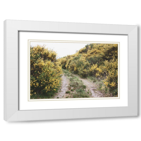 Scottish Highlands II White Modern Wood Framed Art Print with Double Matting by Marshall, Laura